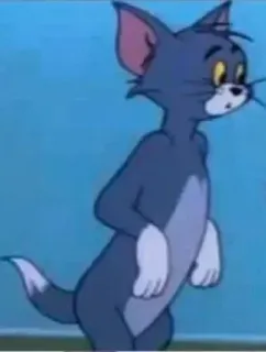 🌸 Tom Cat Tom and Jerry kat, cartoon, animatie, Tom en Jerry whatsapp sticker