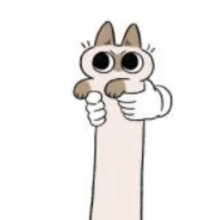 🐱 kucing, lucu, binatang, imut, meme whatsapp sticker