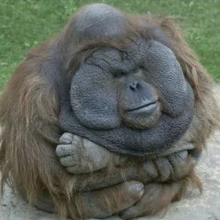 🥶 orangutan telegram sticker
