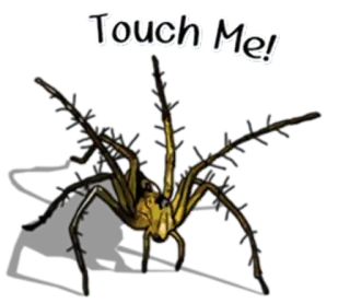 😮 Touch Me! spider, arachnid, insect, creepy, halloween telegram sticker