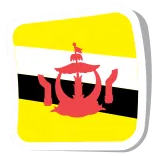 🇧🇳