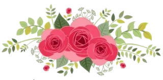 🌹 ดอกไม้, ลายดอกไม้, ดอกกุหลาบ, ช่อดอกไม้, ใบไม้, สีชมพู, บาน telegram sticker