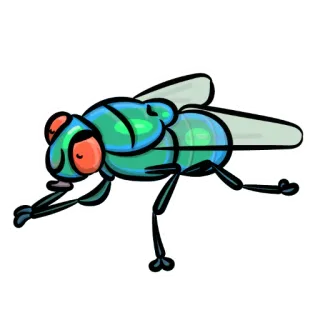 😈 mosca, inseto, desenho animado, animal, praga, inseto telegram sticker