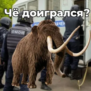 👍 Чё доигрался? マンモス, 警察, 機動隊, 逮捕, ロシア, OMON telegram sticker