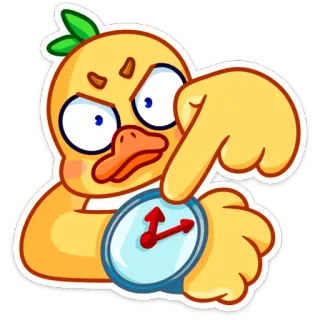 😠 duck, animal, cartoon, watch, time, pointing whatsapp sticker