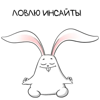 😇 ЛОВЛЮ ИНСАЙТЫ lapin, méditation, dessin animé, idées, zen, yoga whatsapp sticker
