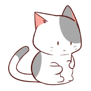 😐 cat, cute, animal, grey, white telegram sticker