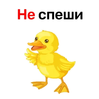 😋 Не спеши เป็ด, สัตว์, น่ารัก, การ์ตูน, ข้อความ, รัสเซีย, ไม่ต้องรีบ telegram sticker
