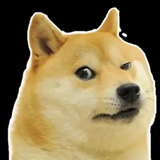 🤨 Doge doge, hond, meme, shiba inu, dier telegram sticker