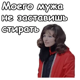 😌 Моего мужа не заставишь стирать telegram sticker
