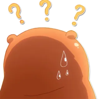 🤔 question marks, bear, confused, sweating, thinking, expression telegram sticker