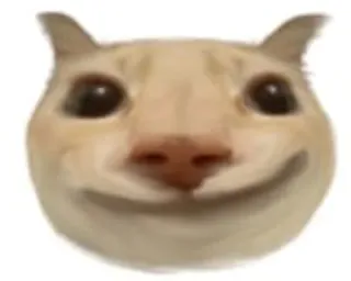 😀 Katze, Meme, Tier, lustig, lächelnd telegram sticker