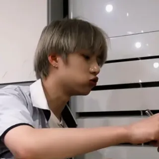 🐻 whatsapp sticker