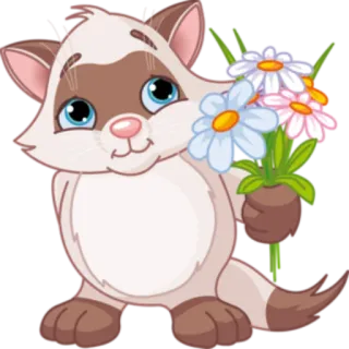💐 gato, gatito, flores, lindo, dibujos animados, animal telegram sticker