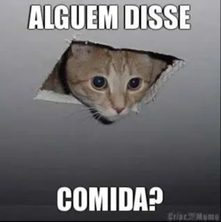 😋 ALGUEM DISSE
COMIDA? кот, мем, еда, животное telegram sticker