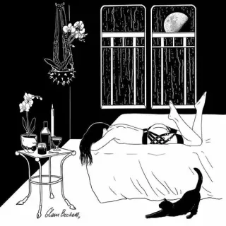 😸 Schlafzimmer, Katze, Bett, Mond, Orchideen, Regen, Frau whatsapp sticker
