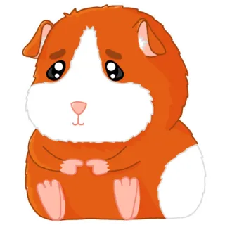 🥺 モルモット, ペット, 動物, げっ歯類, かわいい, 漫画 telegram sticker