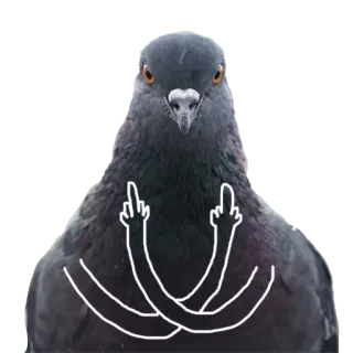 😈 鸟, 鸽子, 中指, 冒犯, 手势 whatsapp sticker