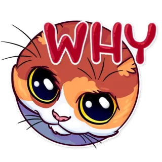 🙄 WHY cat, question, cute, kawaii, meme telegram sticker