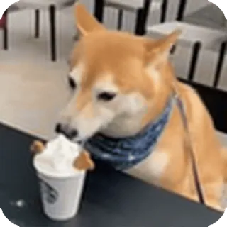 🌟