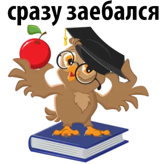 😓 сразу заебался coruja, formatura, maçã, livro, educação, desenho animado whatsapp sticker
