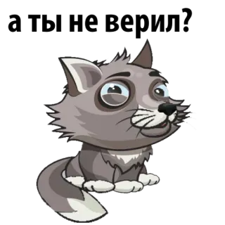 😞 猫, 子猫, 可愛い, 動物, アニメ telegram sticker