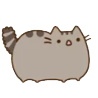😧 Pusheen gato, dibujos animados, lindo, Pusheen, pegatina whatsapp sticker