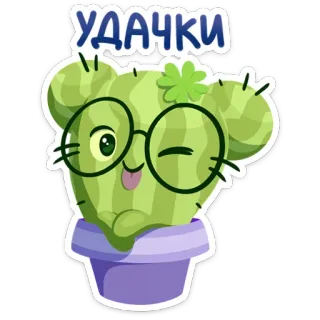 😉 УДАЧКИ cacto, planta, óculos, fofo, desenho animado, flor, piscadela whatsapp sticker