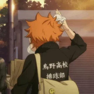 ☀️ Shoyo Hinata Haikyu!! 烏野高校
排球部 Anime, Haikyuu, Hinata, Shoyo, Vôlei, Esportes telegram sticker