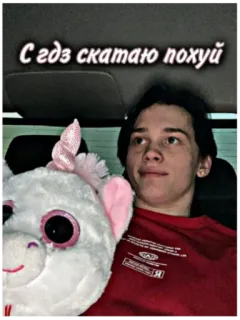 🙄 С гдз скатаю похуй teenager, text, selfie, unicorn, plush toy, indoors telegram sticker