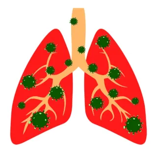 🤒 肺, 病毒, 疾病, 健康, 医疗 telegram sticker