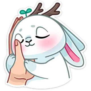 ☺️ fofo, animal, coelho, psiu, dedo, adesivo telegram sticker