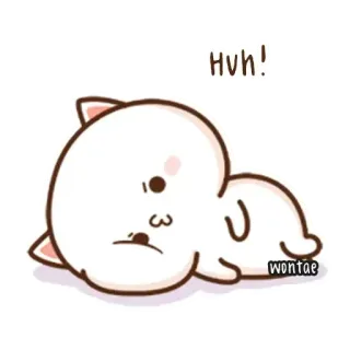 🥺 HUH! gato, fofo, hã?, animal whatsapp sticker