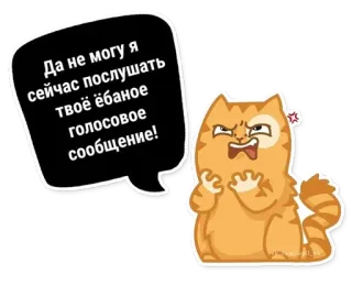 😾 Да не могу я сейчас послушать твоё ёбаное голосовое сообщение! cat, angry, offensive, russian, cussing, sticker telegram sticker