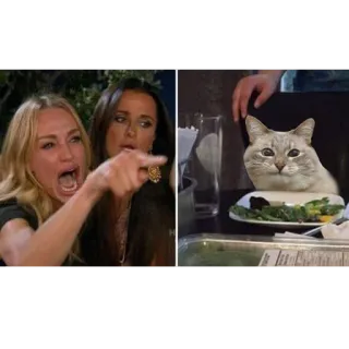 👭 meme, woman yelling at cat, cat, internet meme, humor, funny telegram sticker