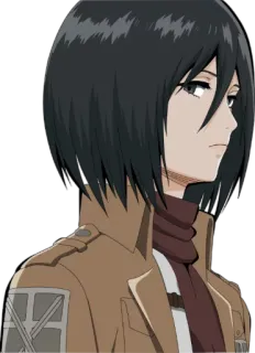😕 Mikasa Ackerman Attack on Titan Mikasa, Ackerman, Attack on Titan, Anime, Karakter telegram sticker