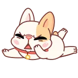 😩 perro, animal, lindo, enojado, bulldog francés, cachorro whatsapp sticker