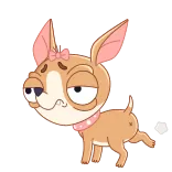 💩 Hund, Chihuahua, süß, Cartoon, Haustier, Tier whatsapp sticker
