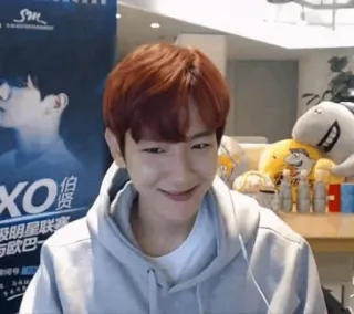 🌻 EXO Personne, Célébrité, Kpop, Idole telegram sticker