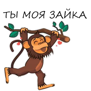 🐒 ТЫ МОЯ ЗАЙКА małpa, zwierzę, kreskówka, słodki, wesoły, gałąź telegram sticker