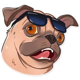 😨 chien, carlin, lunettes de soleil, cool, animal, animal de compagnie telegram sticker