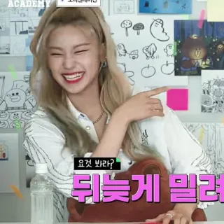 💐 요것 봐라? 뒤늦게 밀려 whatsapp sticker