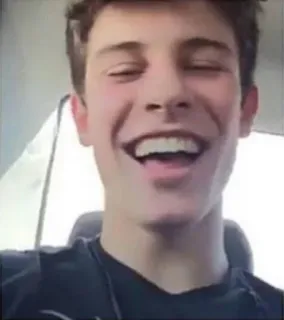 😆 Shawn Mendes celebrity, singer, portrait, smiling, man, music telegram sticker