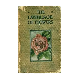 📗 THE LANGUAGE OF FLOWERS 책, 꽃, 장미, 언어, 빈티지 telegram sticker