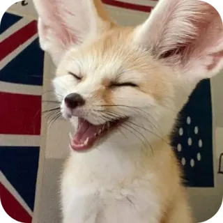 😄 telegram sticker