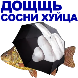 🐠 poisson, parapluie, doigt d'honneur, geste obscène whatsapp sticker