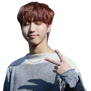 ✌️ kpop, han jisung, stray kids, idol, asiático, cantante, música, sticker fan whatsapp sticker