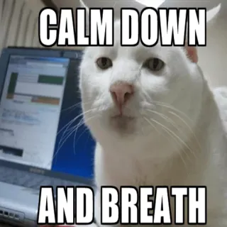 😁 CALM DOWN
AND BREATH kucing, tenang, bernapas, meme, meme internet telegram sticker