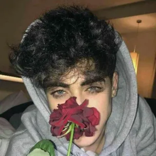 🌹 男孩, 玫瑰, 连帽衫, 肖像, 青少年, 年轻人 telegram sticker