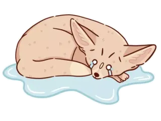 😭 fennec fox, crying, sad, animal, cute, sticker, emotion telegram sticker
